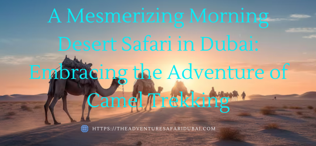 Tour image  |The Adventure Safari Dubai